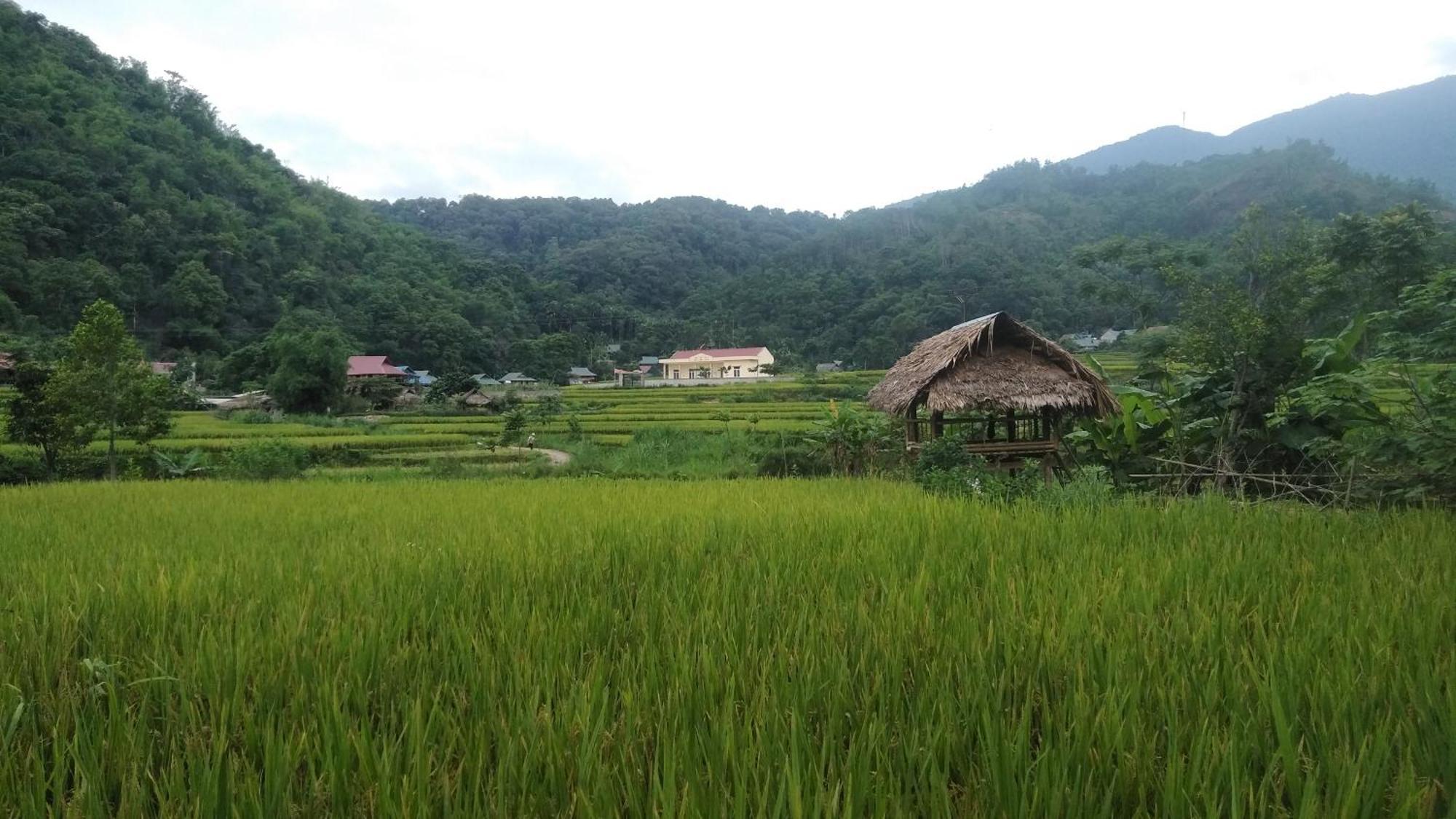 Bed and Breakfast Puluong Aroma Huong Ba Thuoc Екстер'єр фото