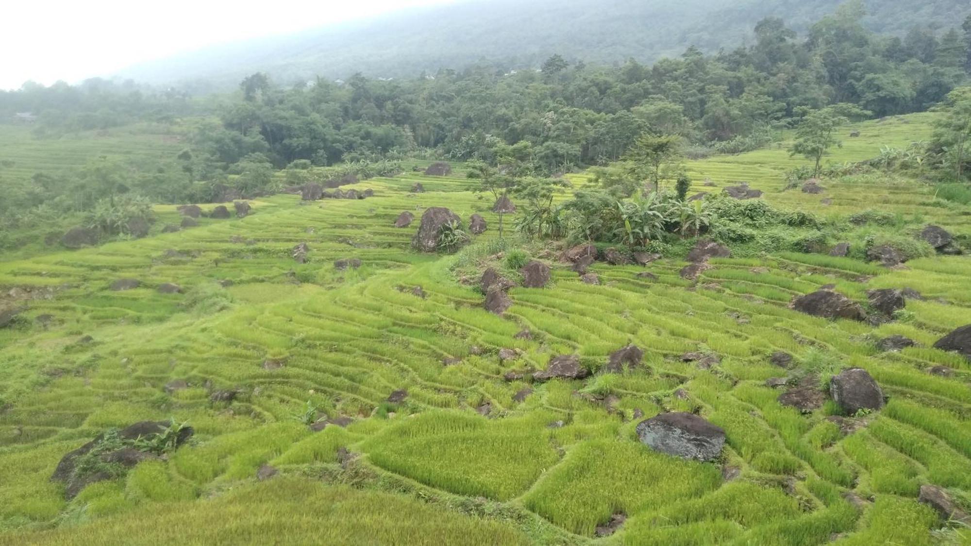 Bed and Breakfast Puluong Aroma Huong Ba Thuoc Екстер'єр фото