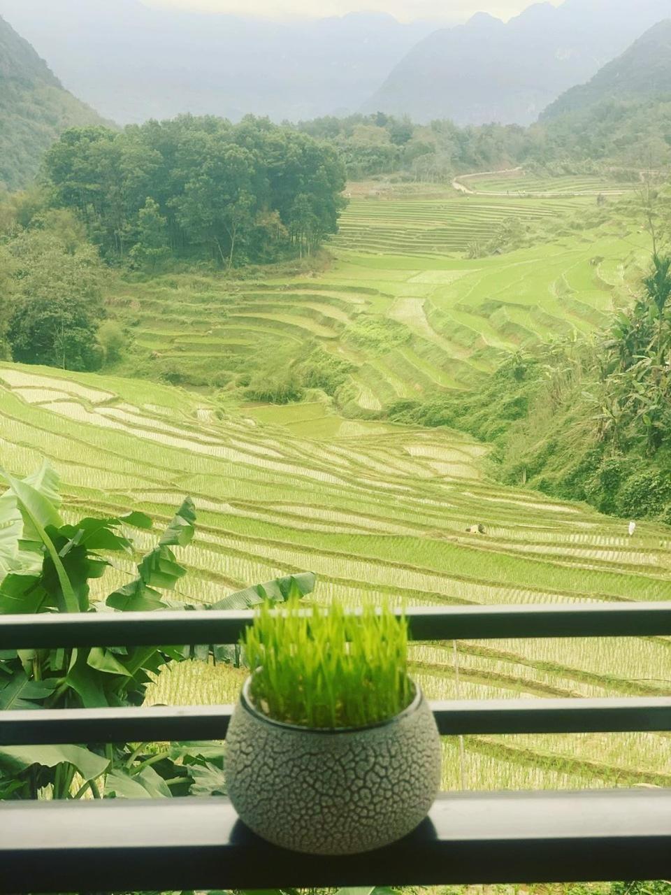 Bed and Breakfast Puluong Aroma Huong Ba Thuoc Екстер'єр фото